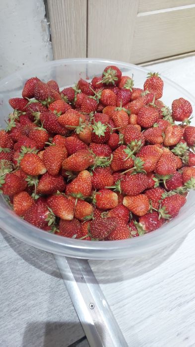 Продам дачу в ПК "Спутник"