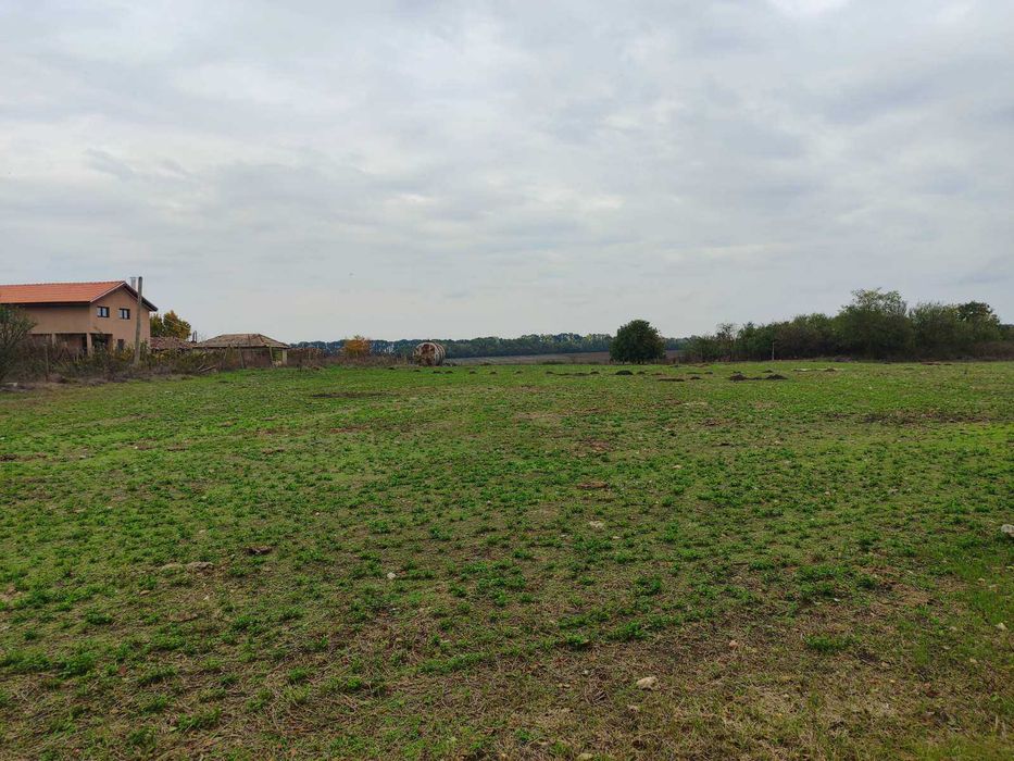 Продава се Къща в с. Полковник Свещарово, Област Добрич - 60 кв.м за 706 €/кв.м - Снимка #4