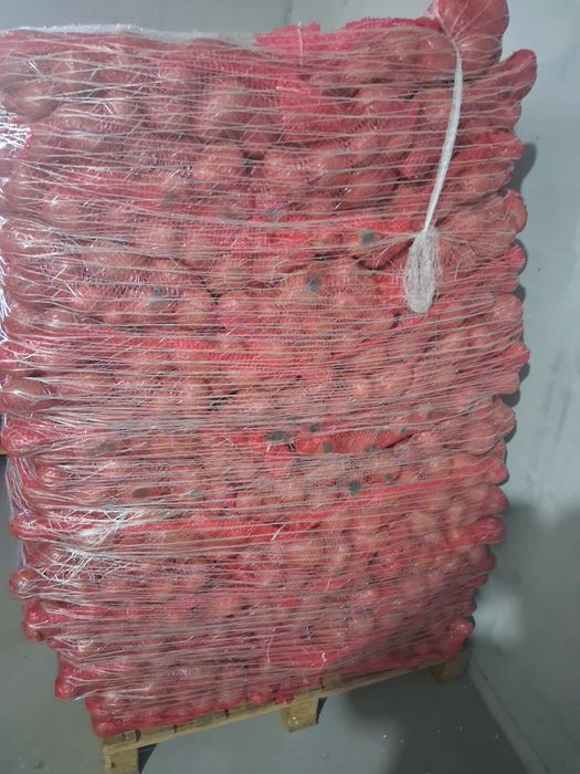 Cartofi  imoprt polonia mai multe soiurii