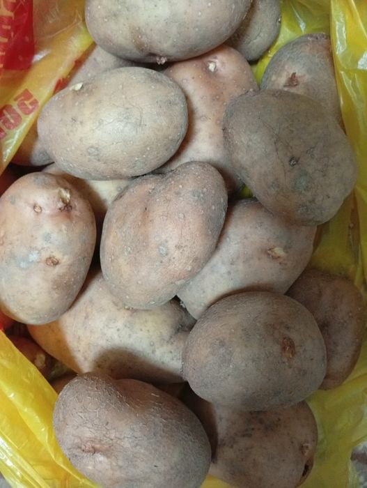 Продам картофель,  домашнийй