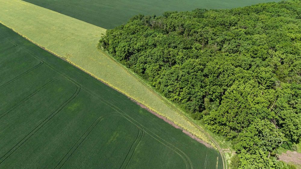 Vand teren extravilan Fundulea  83345 mp