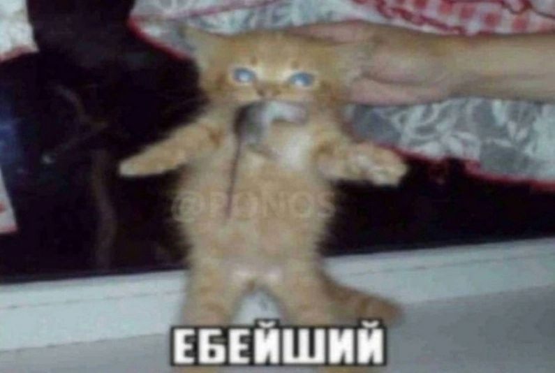 Видеокарта Gigabyte Gtx 1660