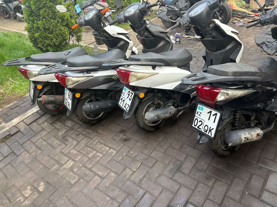 Аренда  мопедов.