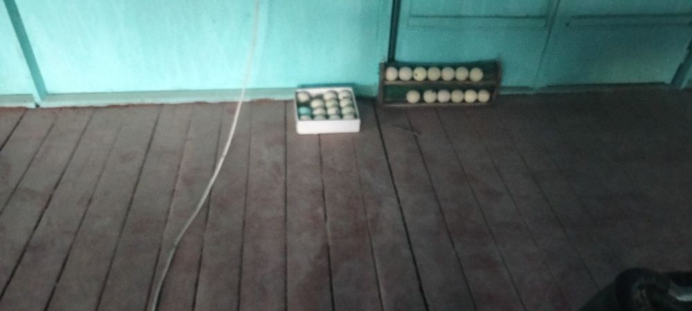 Билартлар сотилади 1200 дулир озрок утадигон жойи бор