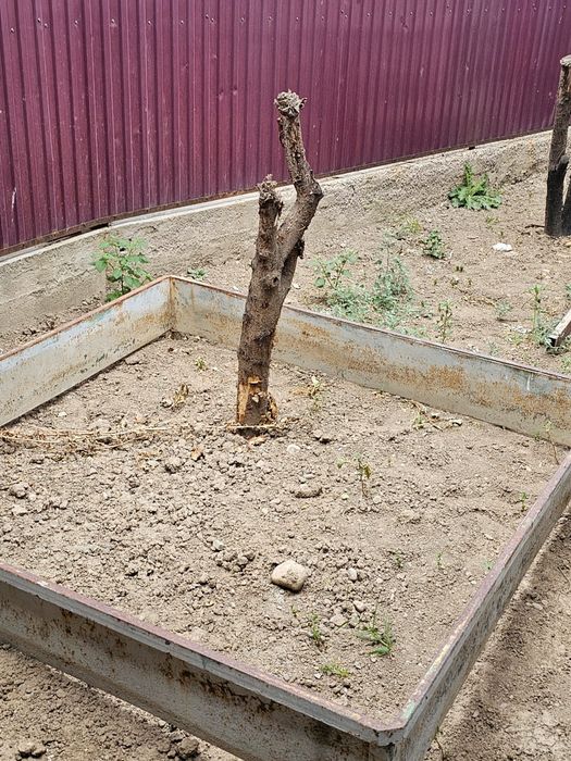 Детский площодка