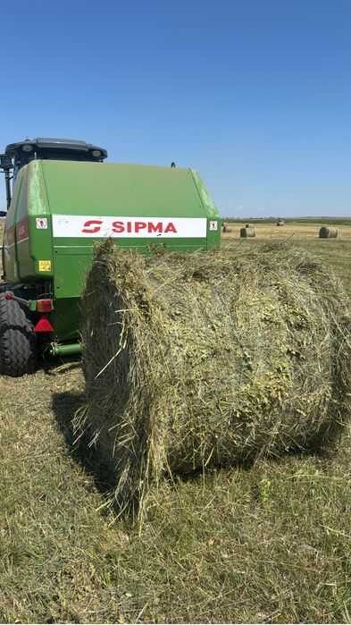 Продам сено луговое в рулонах