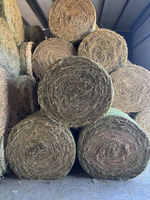 Продавам люцерна