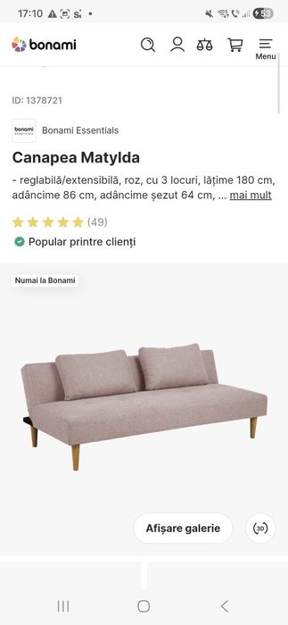 Canapea extensibila in Arad