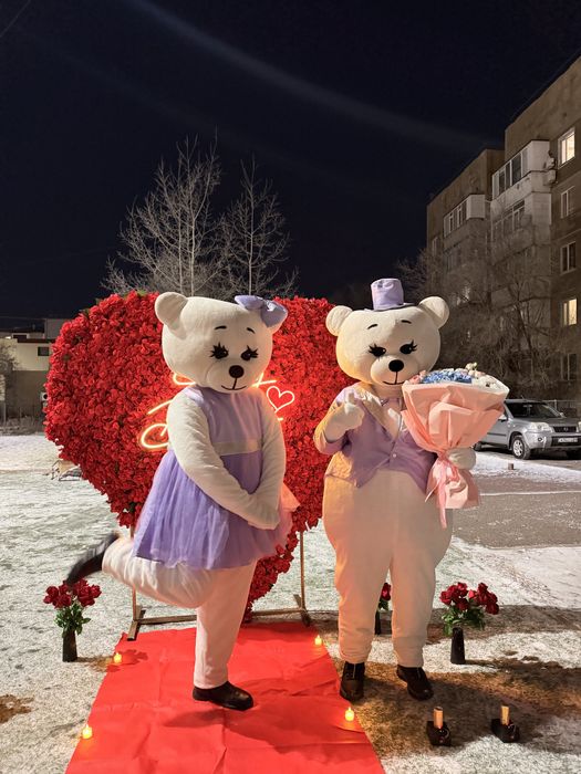 Аниматор/ Тедди Мишки