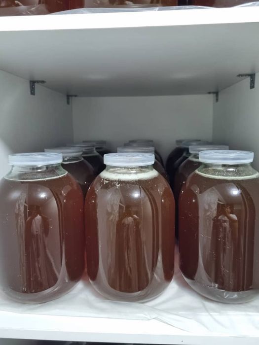 Tabiiy tog' asali 120 000 sum - 1kg