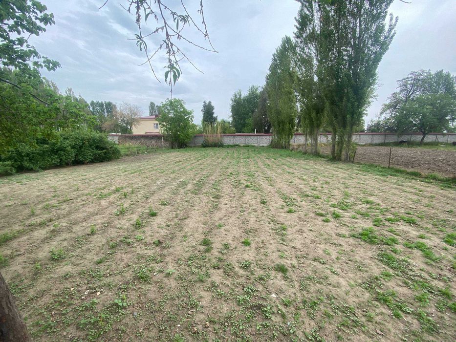 Hovli. Uchastka. Участка