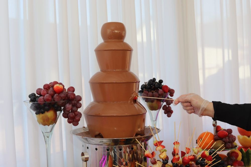 Fântână de ciocolata și bar fructe