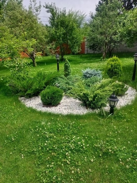 Озеленение, автополив