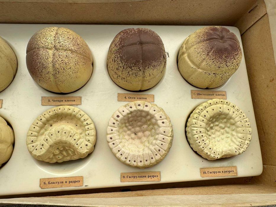 Соц Учебни Модели Макети