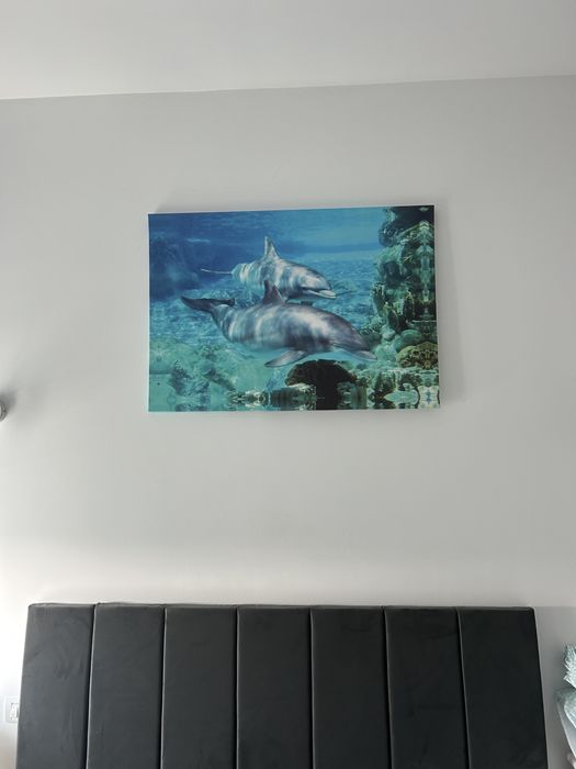 Vand tablou stare impecabila