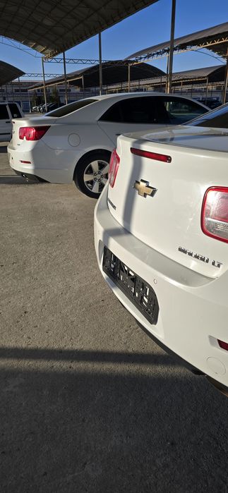 Malbu1 2chi podisiya