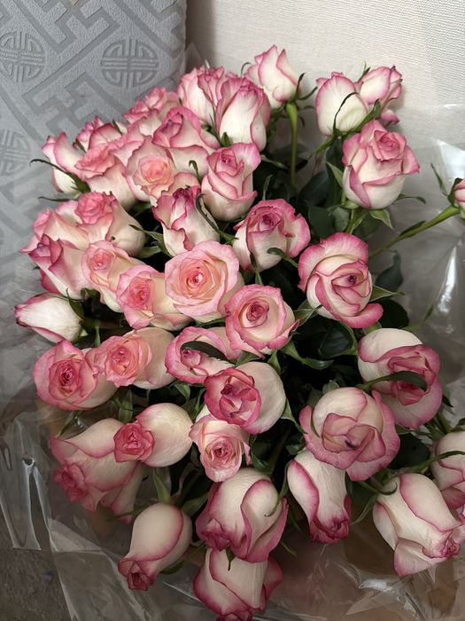 розы красивые 51 шт