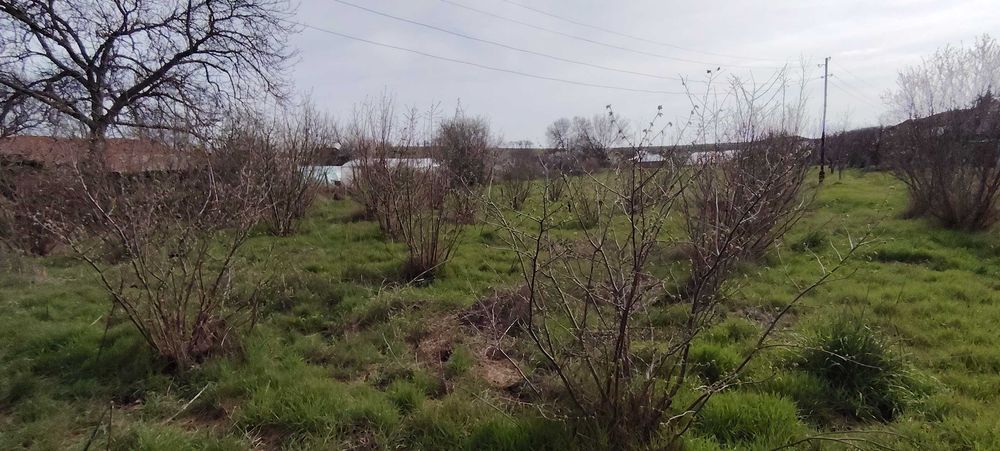 Парцел в с. Знаменосец. Област Стара Загора