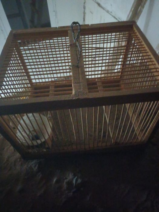 Клетка для птиц.