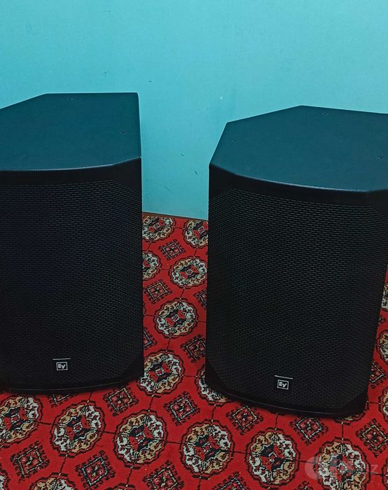 Firmenniy Kalonka Electro-Voice