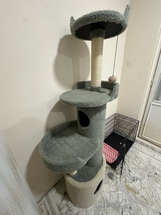 Sotllad uycha mushuga