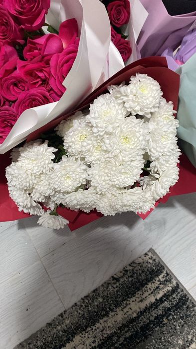 гулдер сатылады свежый