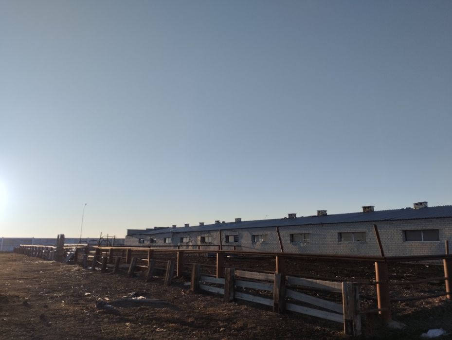 Продам крестьянское хозяйство