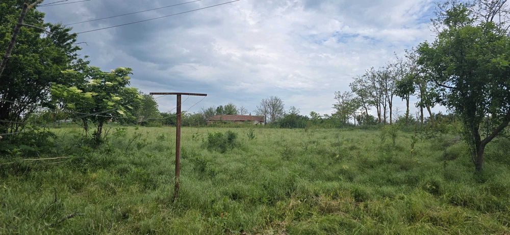 Casă bătrânească trainică din piatră, 4500 mp teren,pomi fructiferi  ,la doar 20 min de Mangalia