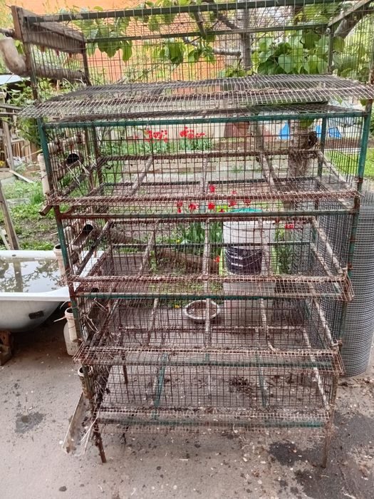 Продам клетки для перепелов б/у 5 штук