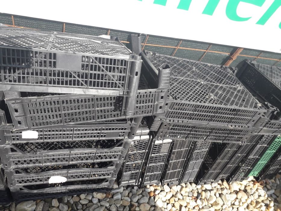 Lazi plastic ,paleti