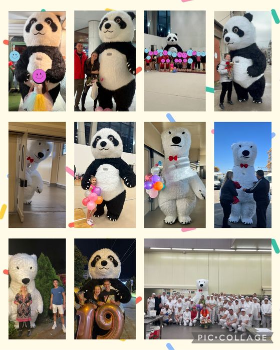 Изненада с гигантска триметрова бяла мечка или панда!