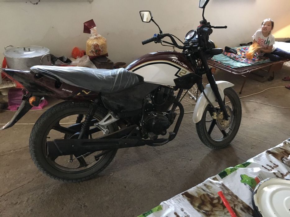 Racer tiger рейсер тигр