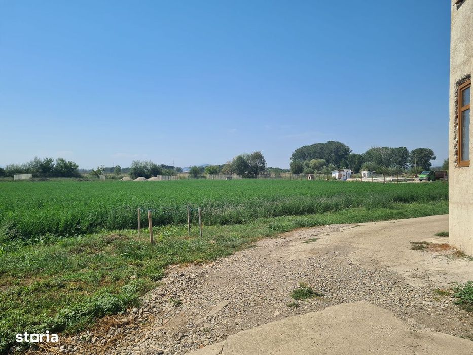 Teren intravilan,ingradit cu utilitati.