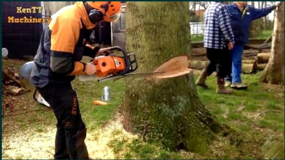 Обрезка спил деревя дарахт кесиш хизмати бензопила услуг daraxt kesish