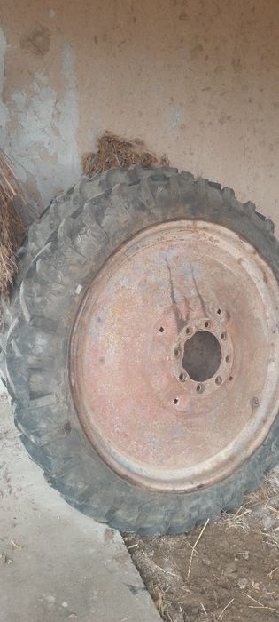 Traktor balon yangi shinaalri