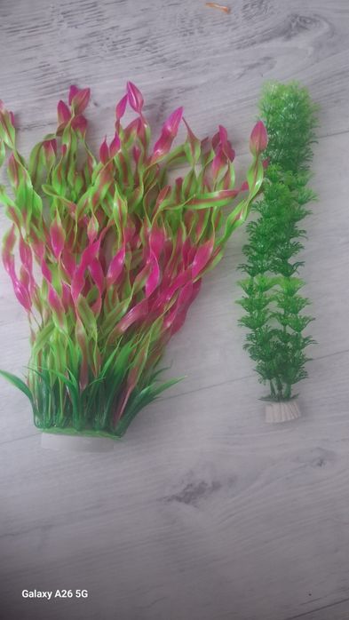 Растения в аквариум