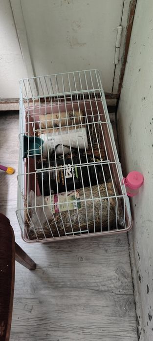 Клетка для кролика и тд