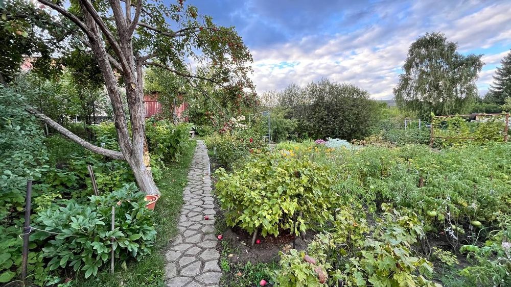 Продам дачу на Аблакетке (урожай)