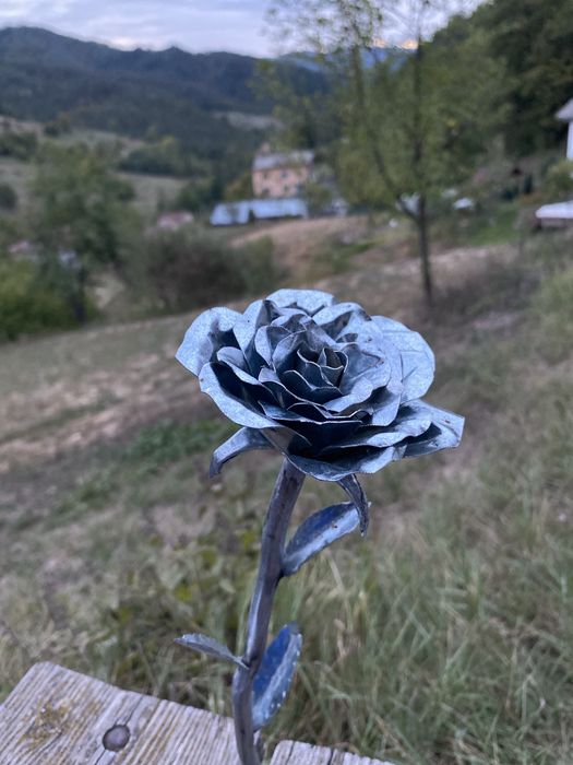 Рози от Ковано Желязо