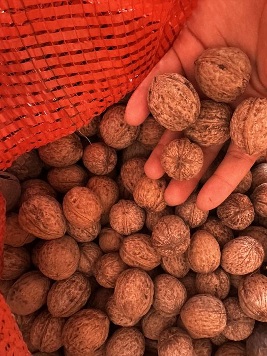 Орехи  грецкие….