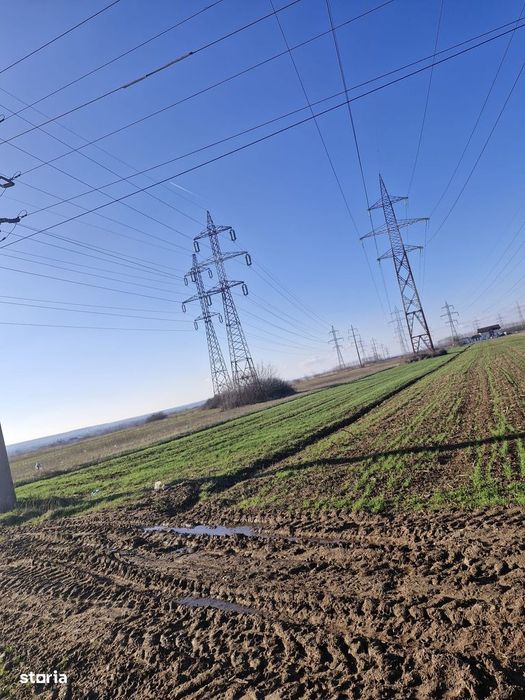 Teren de vânzare  5000 mp, Dumbrava ,DB