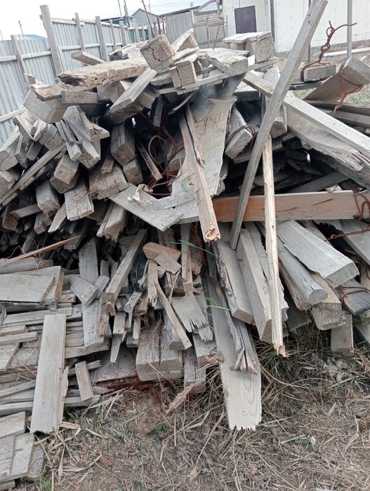 Тегін ағаштар бир Газел