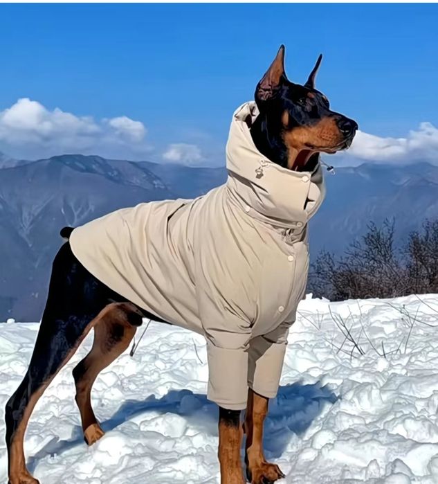 Продам куртку для небольших собак