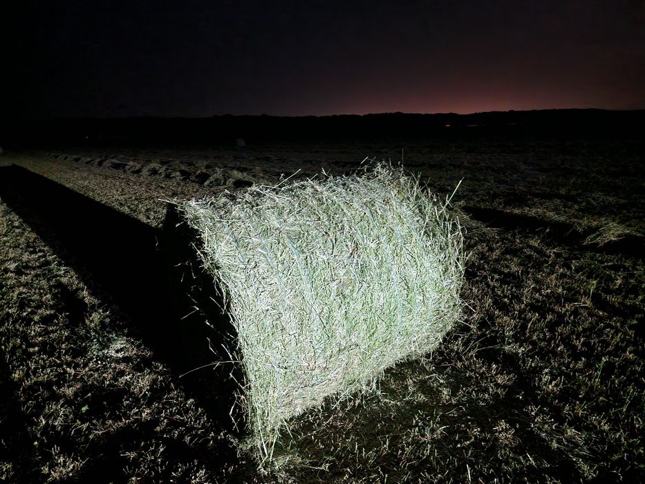 Baloti de lucerna pentru cai