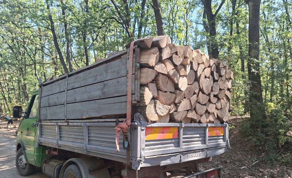 Vand lemne de foc  uscate si verzi