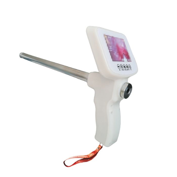 vizual (ko‘z bilan ko‘rinadigan) sun'iy urug‘lantirish