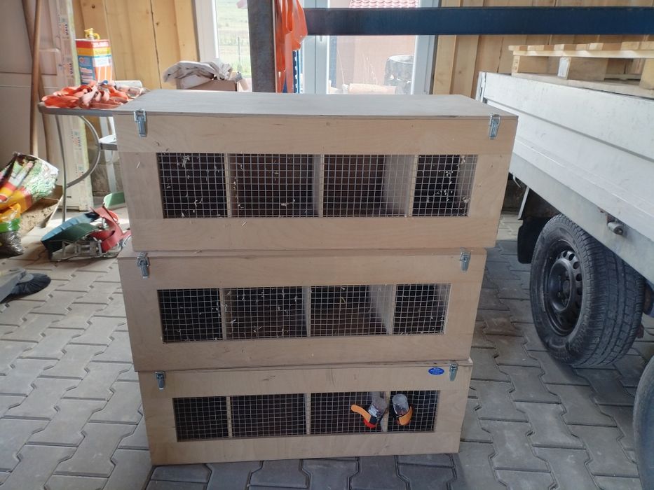 Custi transport iepuri