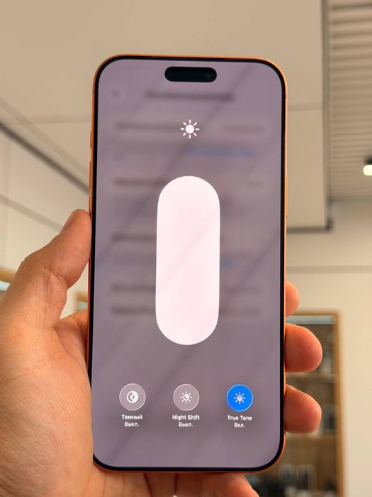 iPhone 17 Pro Max | 256 GB
