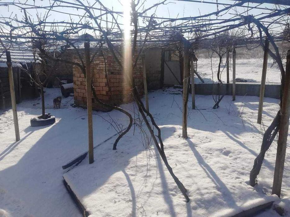 Къща в село Пчелище