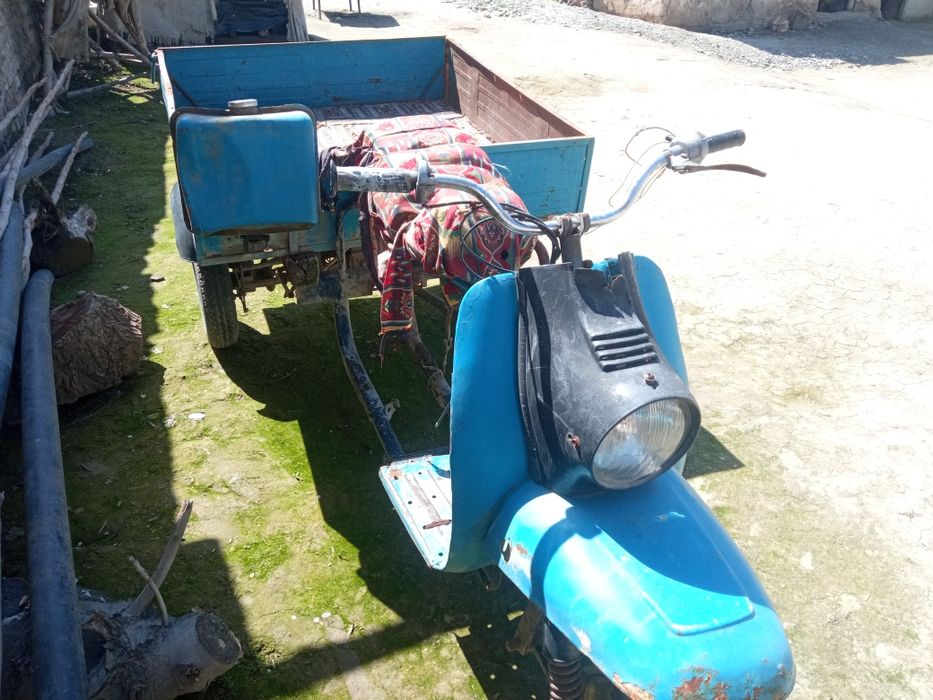 Муравей СССР матарол